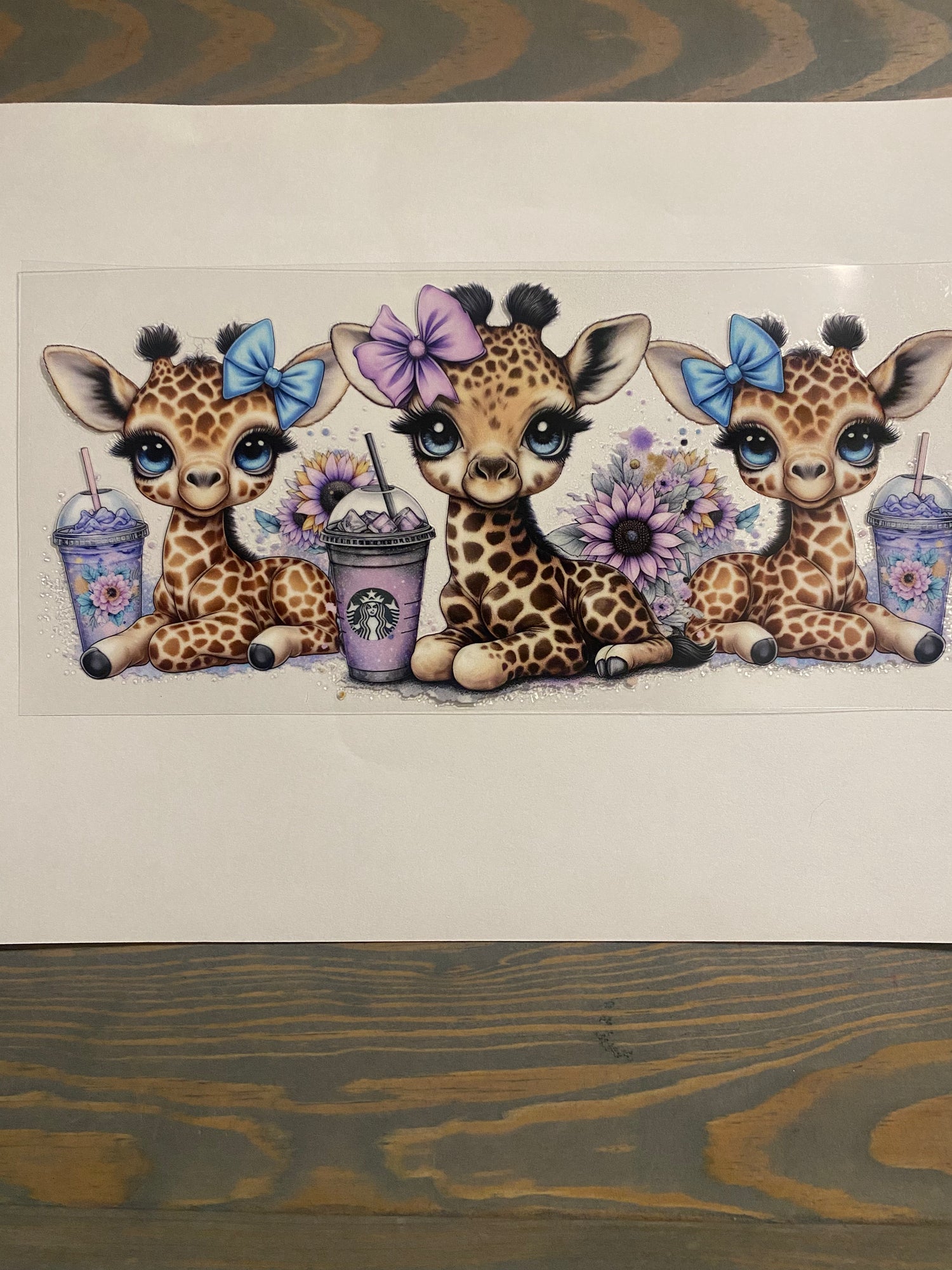 Animals